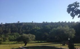 Bastide Provencale Avec Piscine Et Grand Jardin
